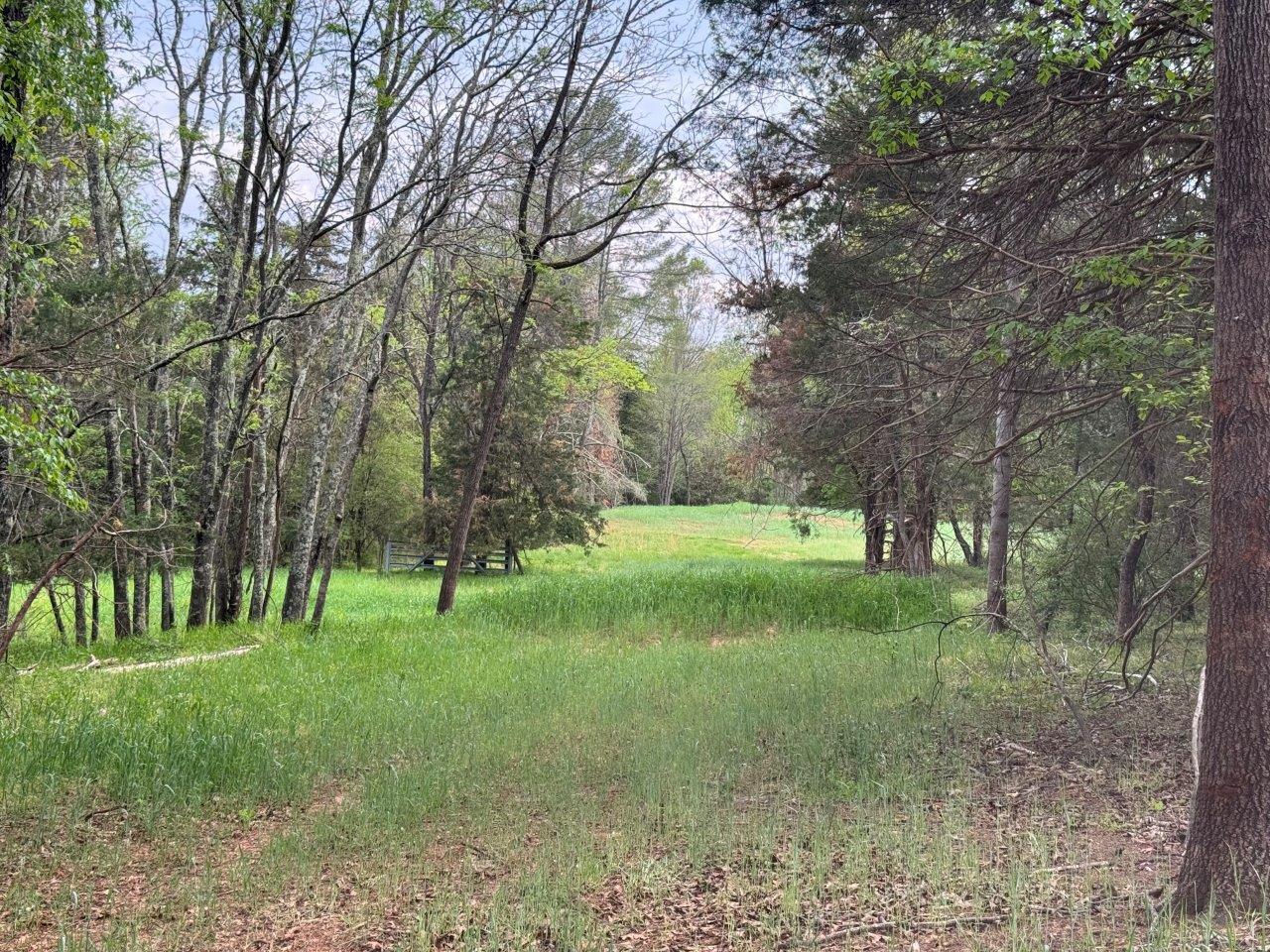 1630 Taylor Tyree Rd, Rocky Mount, Virginia image 1