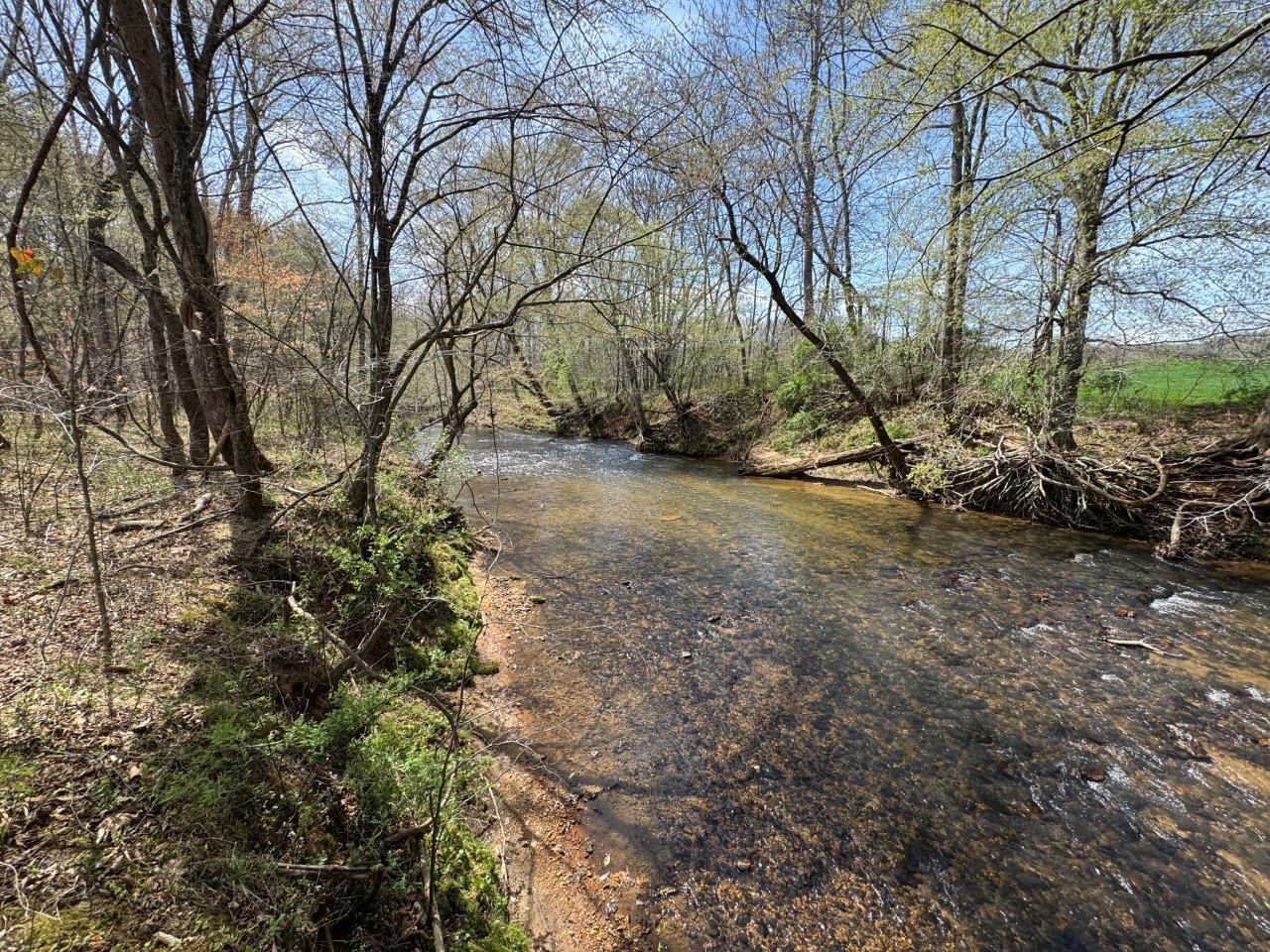 1630 Taylor Tyree Rd, Rocky Mount, Virginia image 19