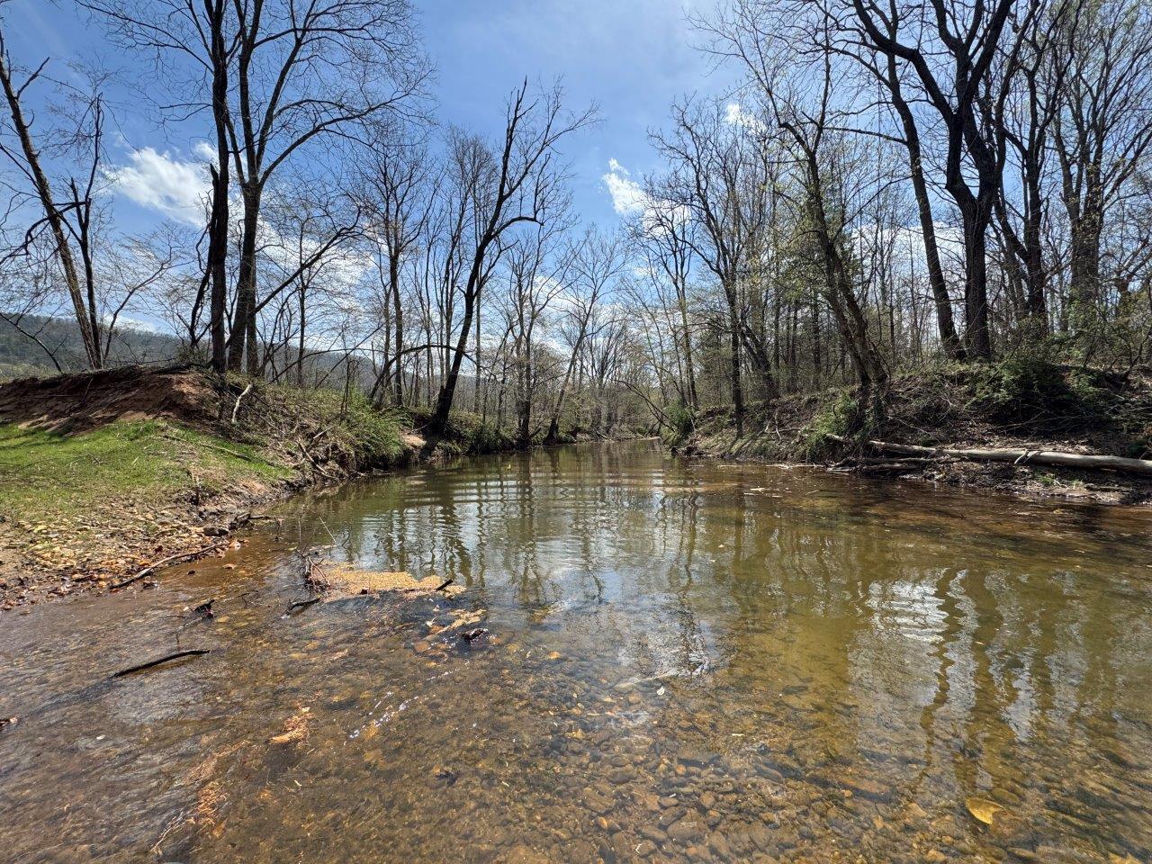 1630 Taylor Tyree Rd, Rocky Mount, Virginia image 11