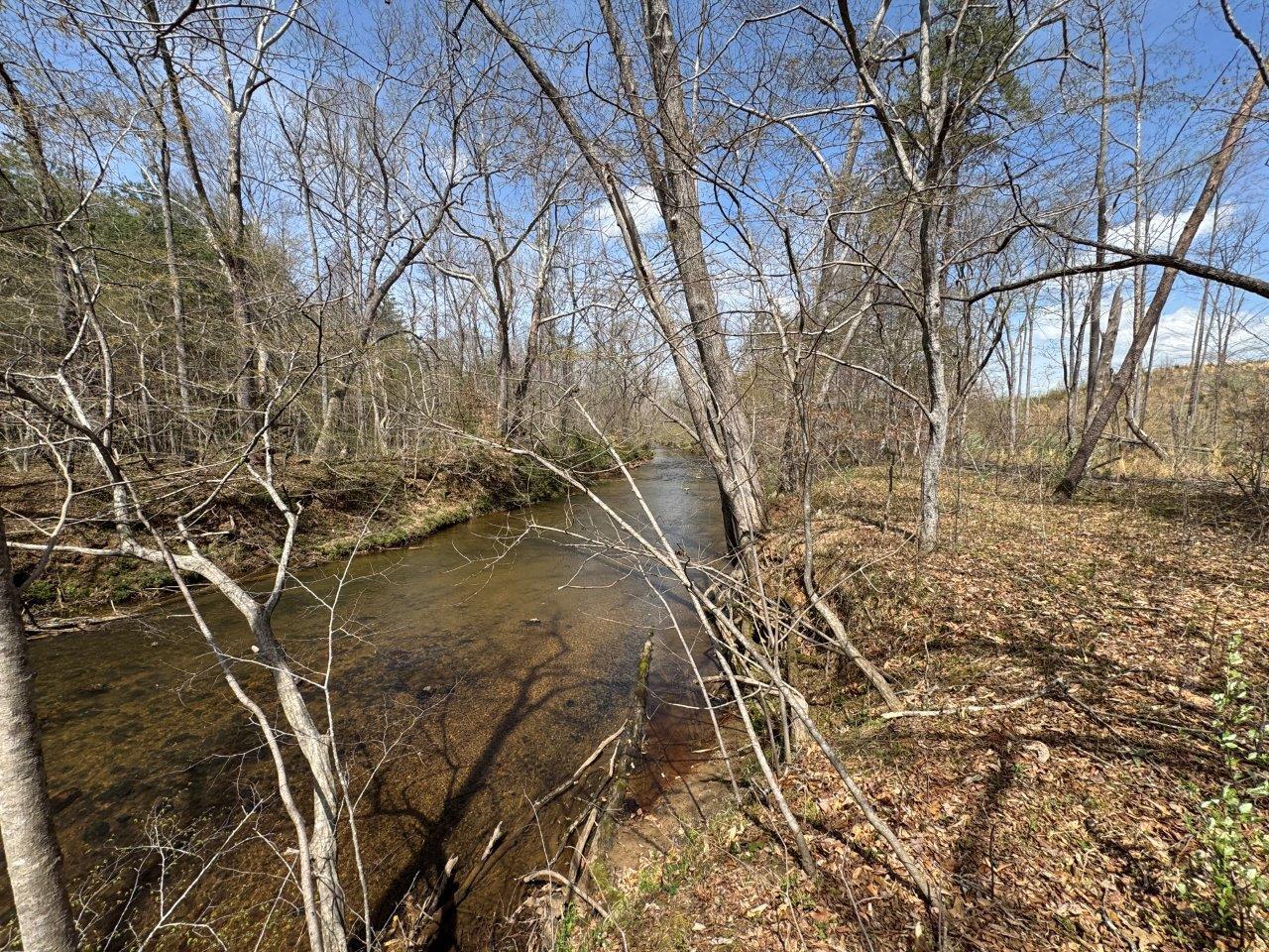 1630 Taylor Tyree Rd, Rocky Mount, Virginia image 17