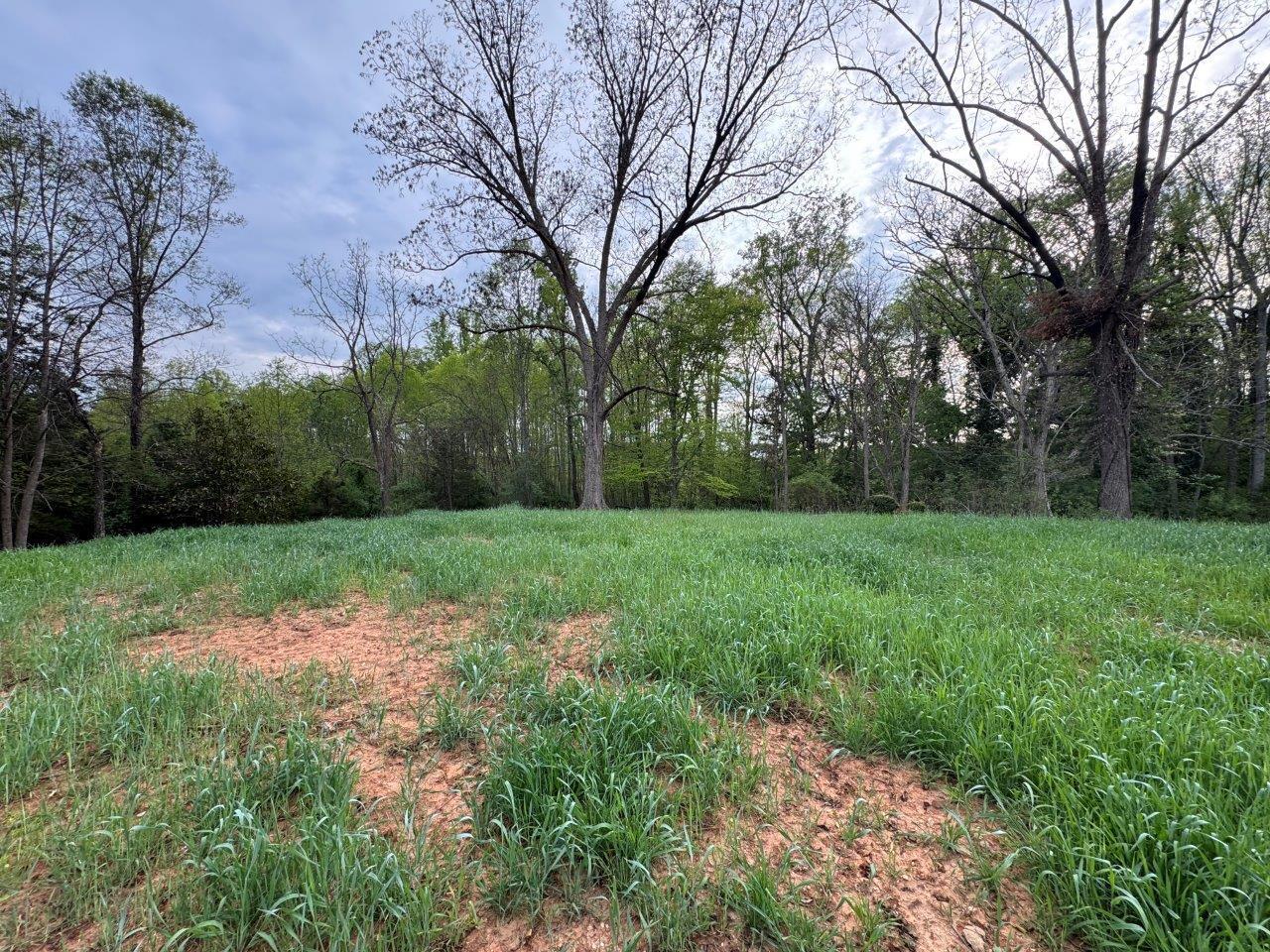 1630 Taylor Tyree Rd, Rocky Mount, Virginia image 46