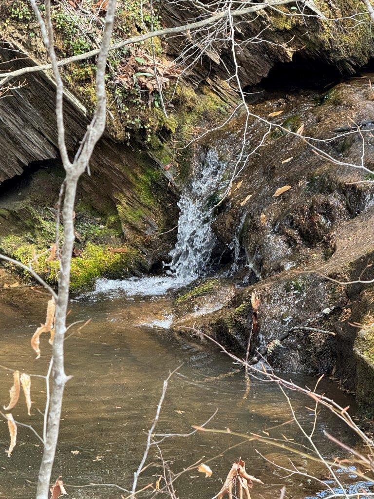 1630 Taylor Tyree Rd, Rocky Mount, Virginia image 24