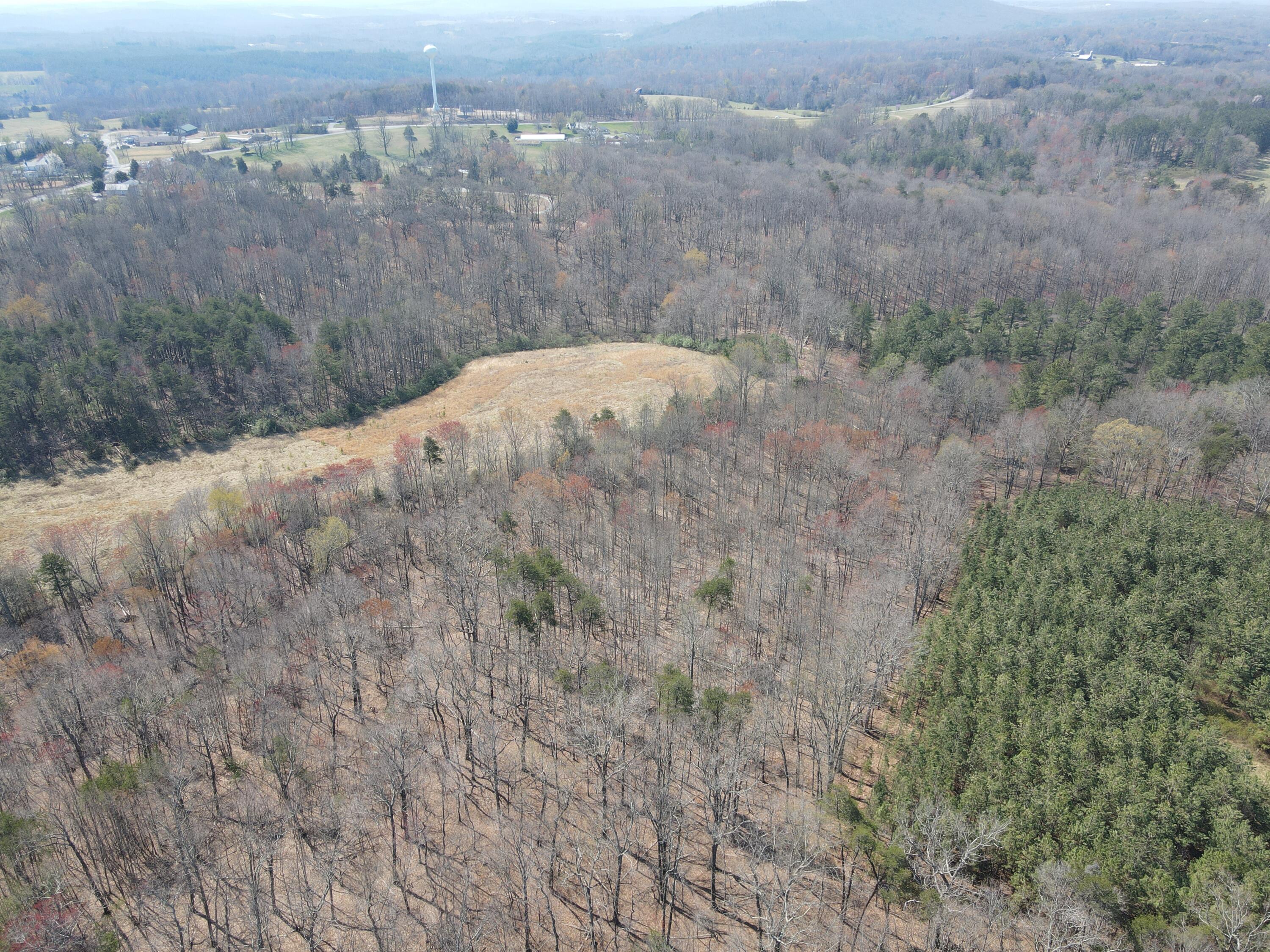 Lot 21-A Standiford Rd, Union Hall, Virginia image 2