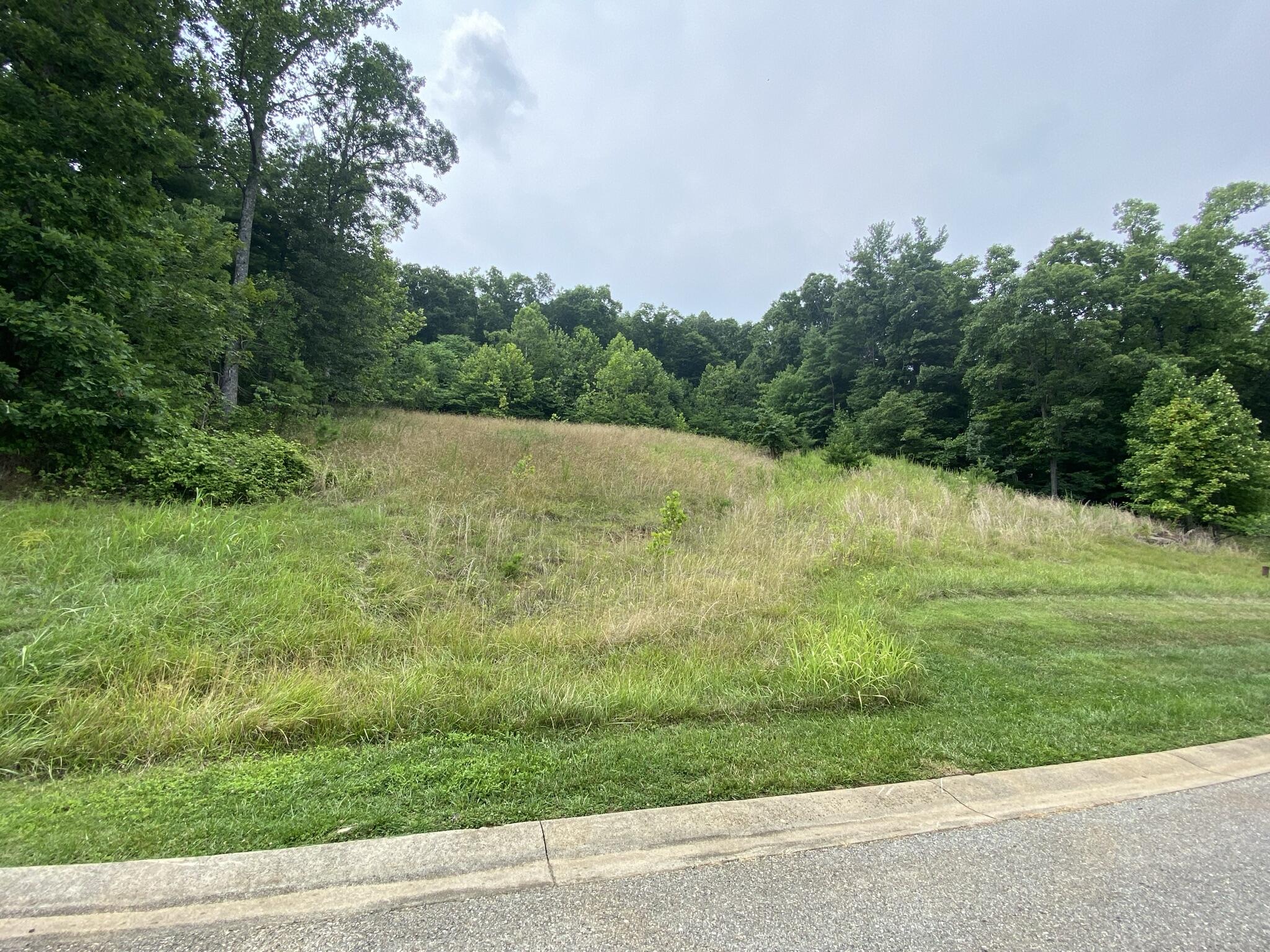 LOT 25 Summit Dr, Rocky Mount, Virginia image 2