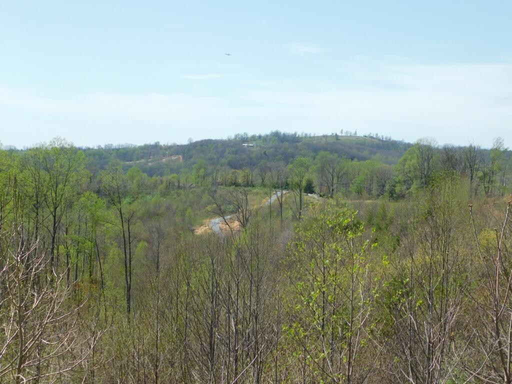 Wooldridge Rd, Blue Ridge, Virginia image 10