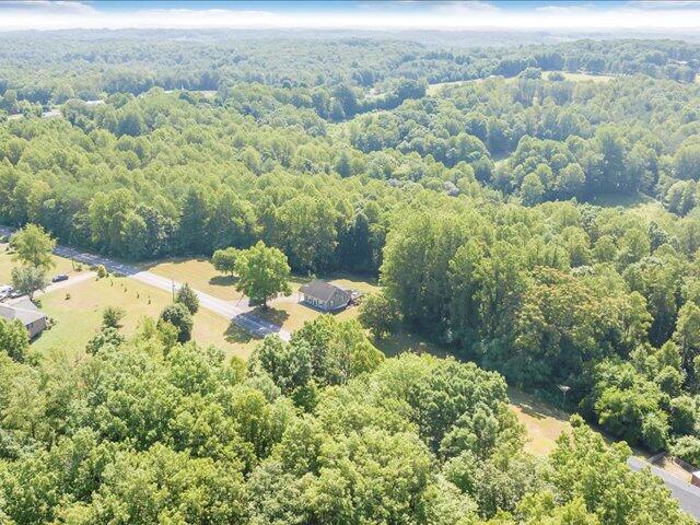 4162 Hardie Stone Rd, Patrick Springs, Virginia image 42