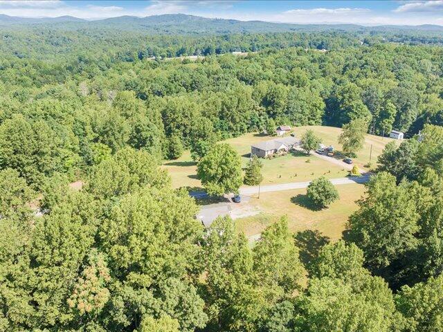 4162 Hardie Stone Rd, Patrick Springs, Virginia image 41