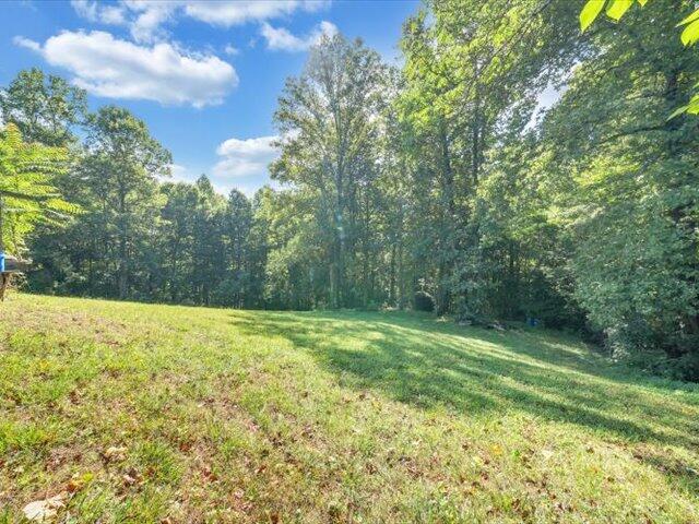 4162 Hardie Stone Rd, Patrick Springs, Virginia image 22