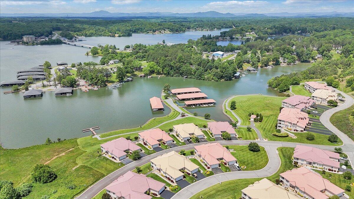 1067 Margarita Ct, Moneta, Virginia image 48