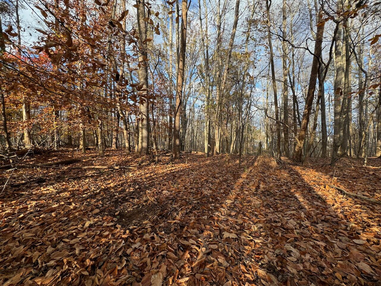 Lot 29 Camelot Dr, Moneta, Virginia image 3