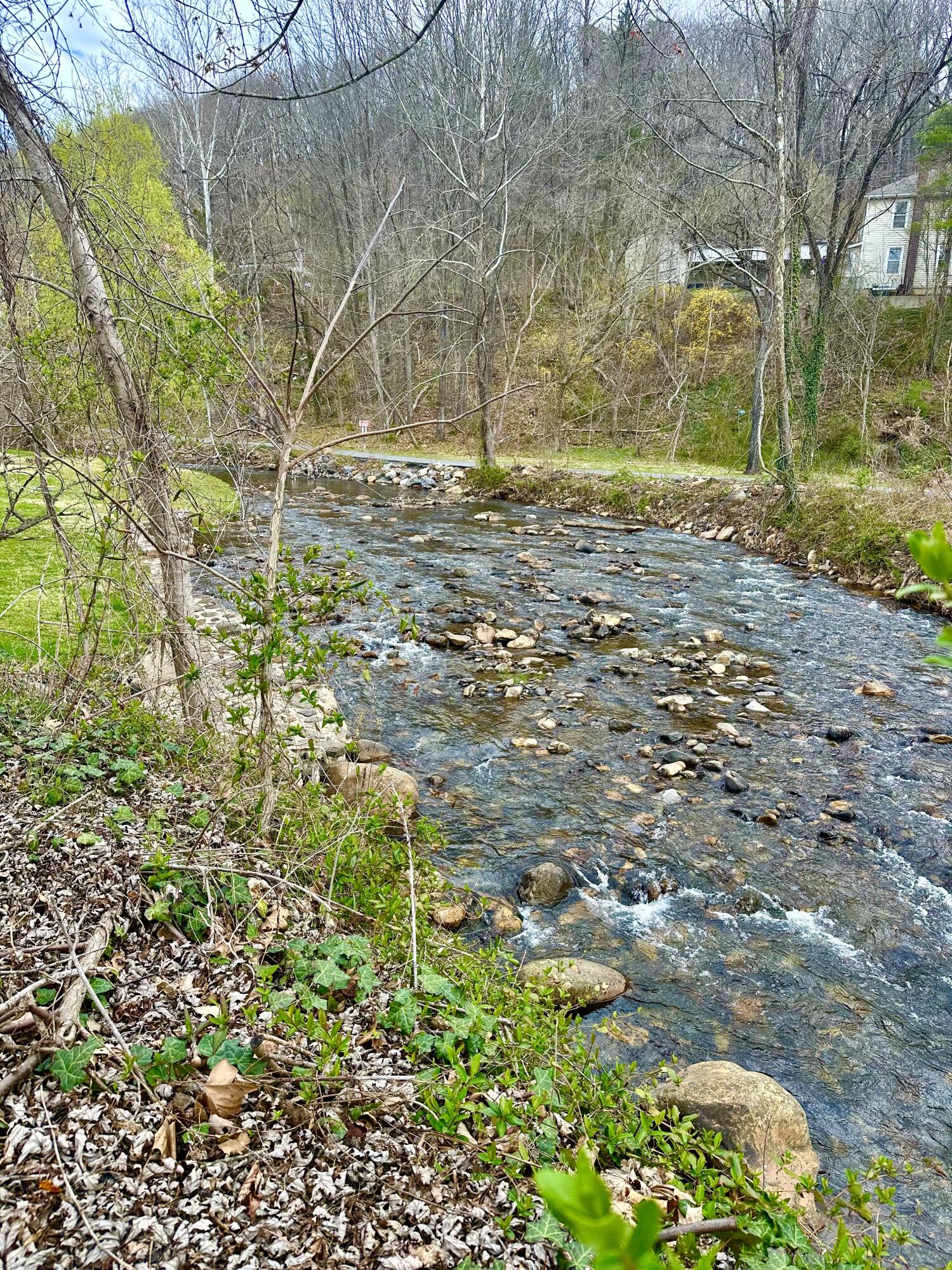 513 Court St, Clifton Forge, Virginia image 33