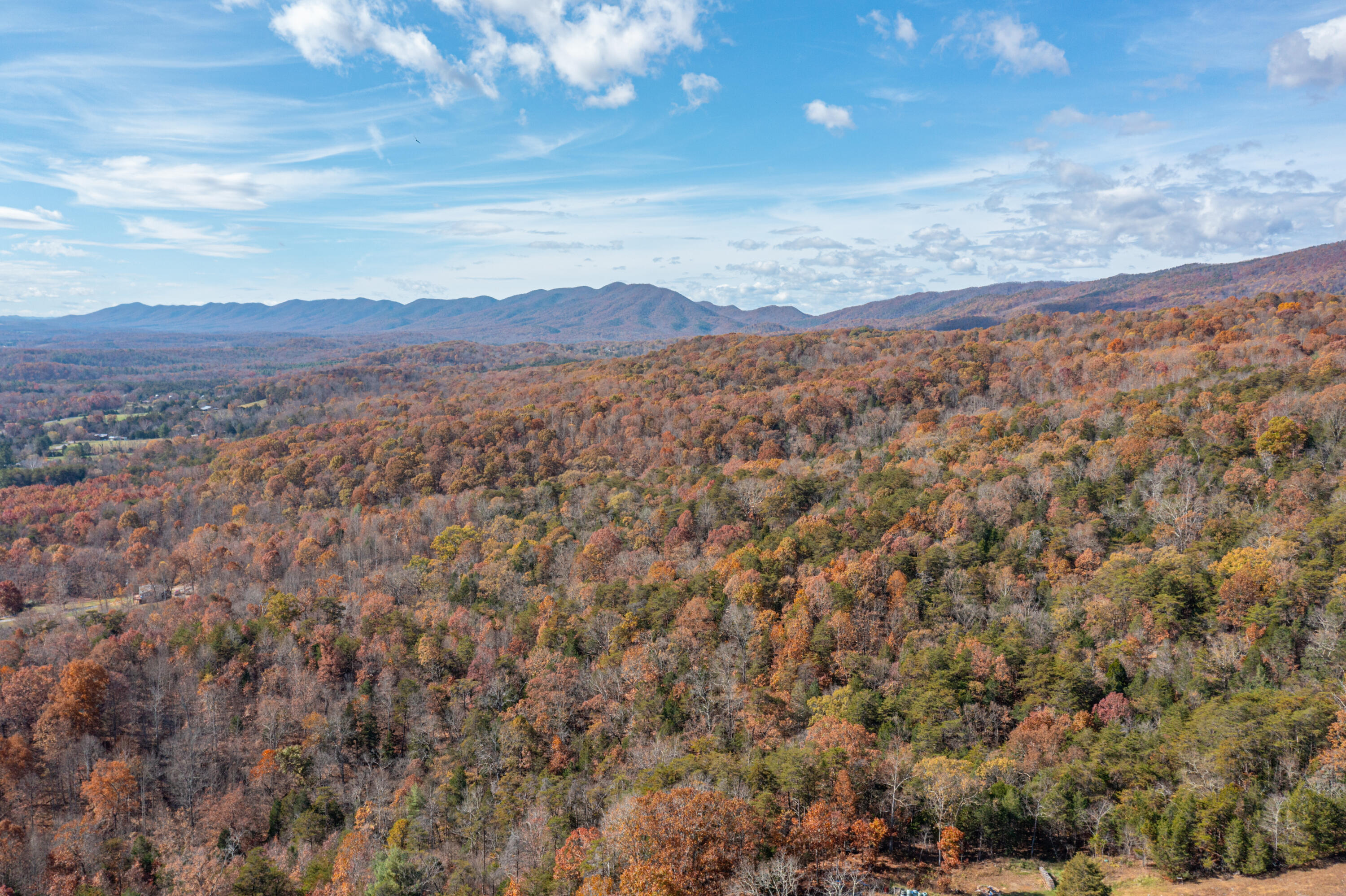 Cecils Ln, Fincastle, Virginia image 1