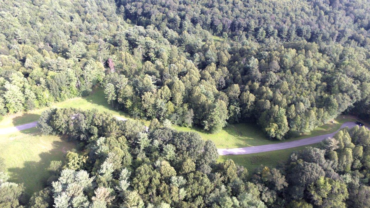 Cobble Trl, Bent Mountain, Virginia image 2