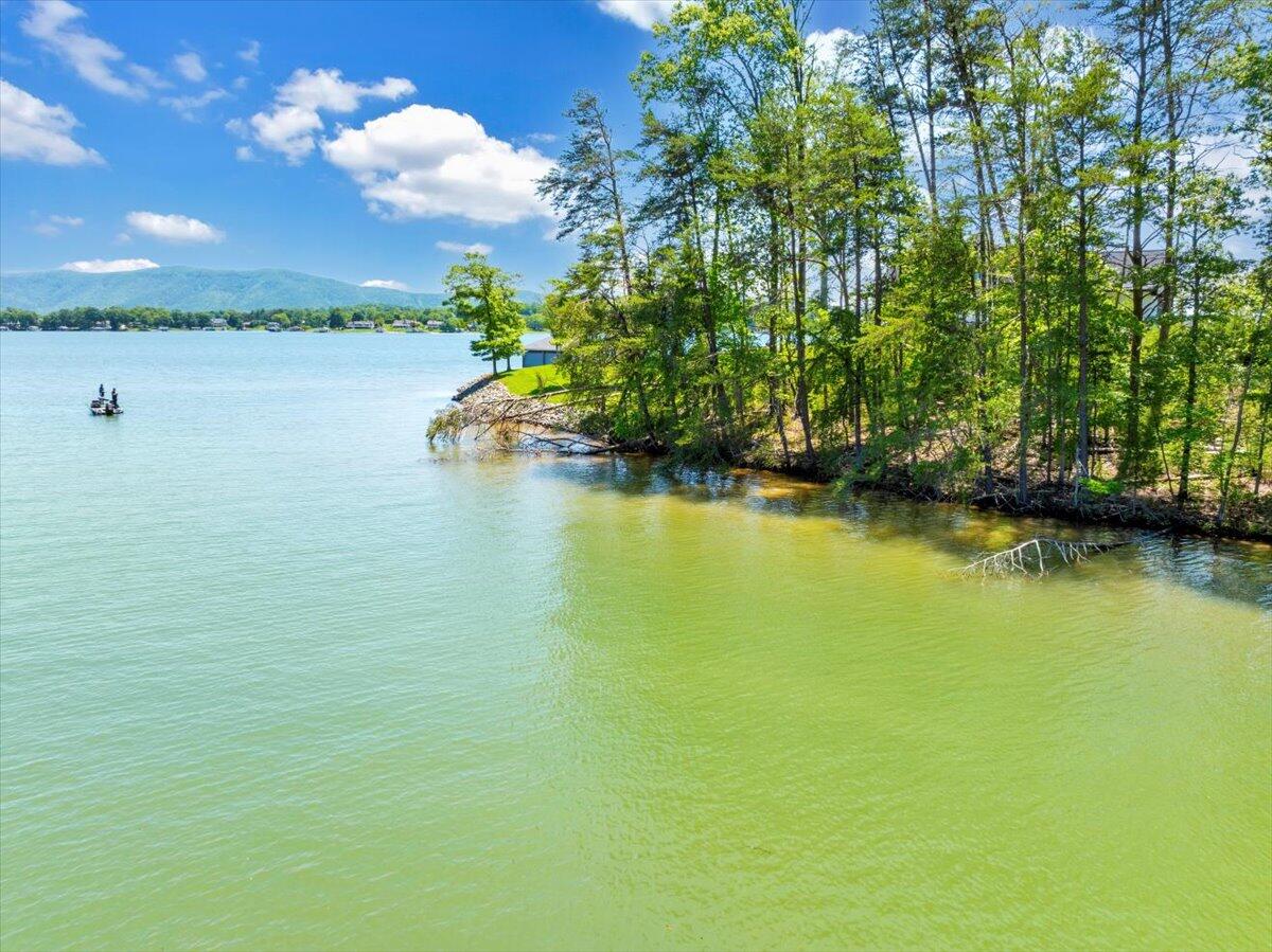 389 Hyannis Pt Pt, Union Hall, Virginia image 11