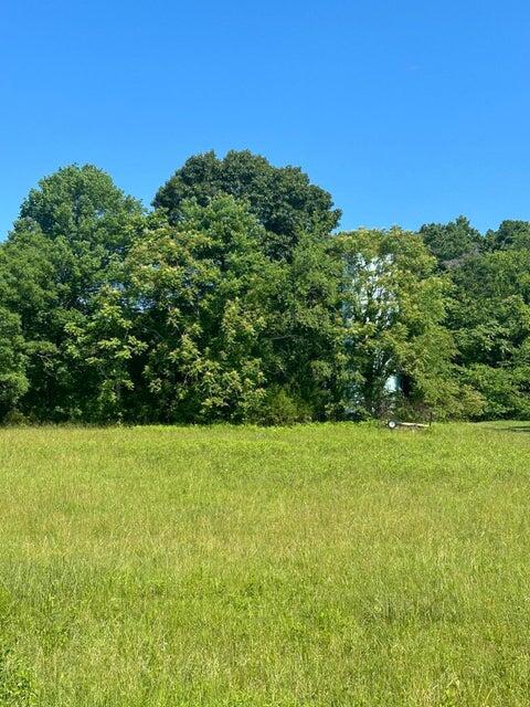Lot 1 Virginia Ridge Dr, Hardy, Virginia image 1