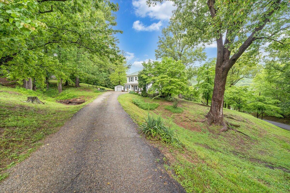 174 Bridge St, Buchanan, Virginia image 29