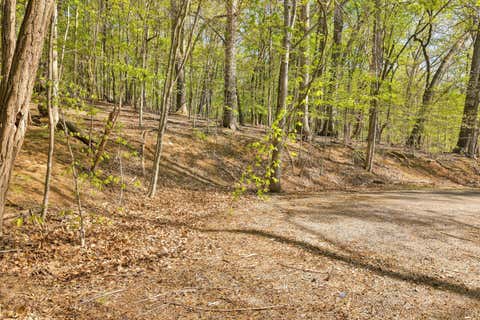 Vacant Land For Sale - LOT 43 Old Barn Rd<br/> Moneta, VA 24121