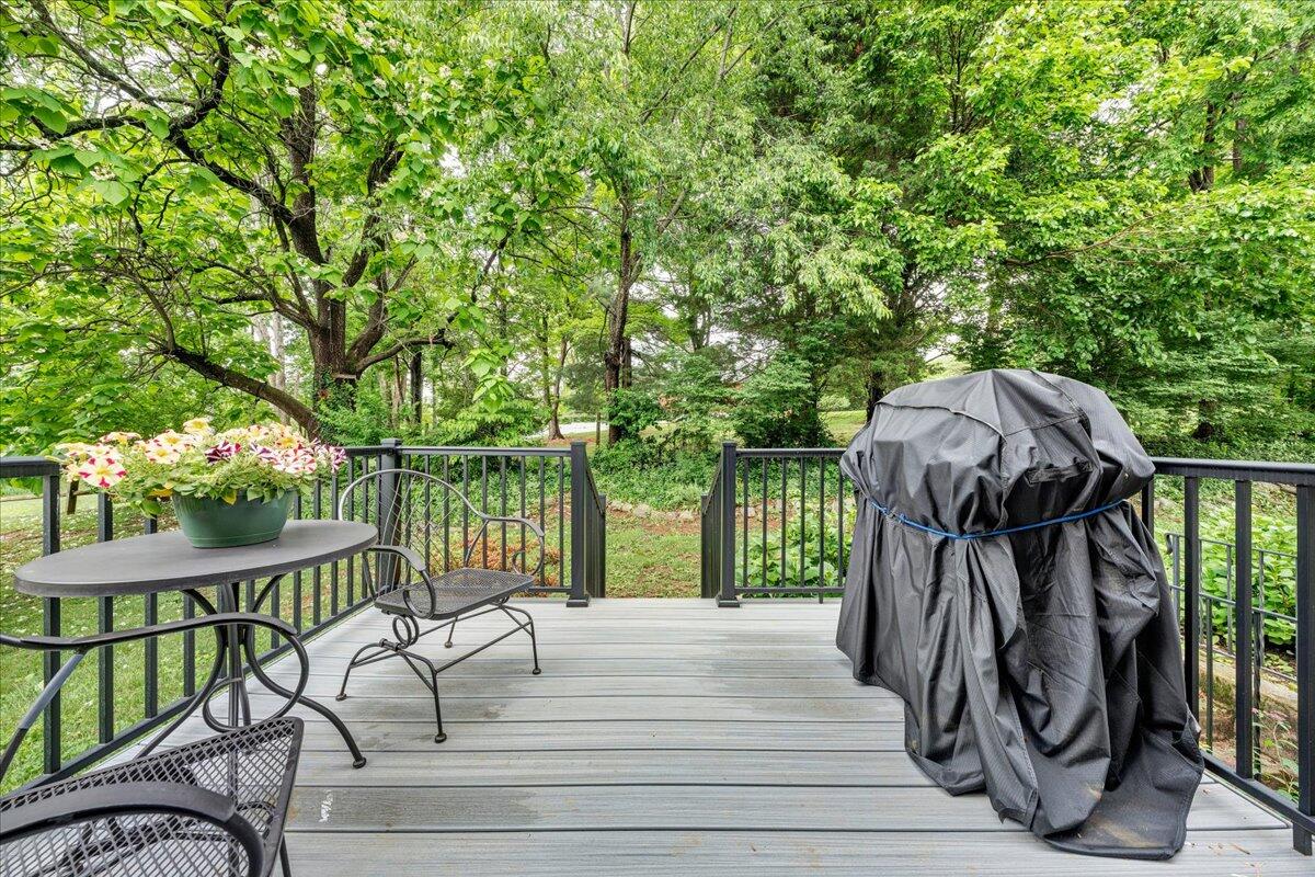 1037 Barrens Village Ct, Roanoke, Virginia image 28