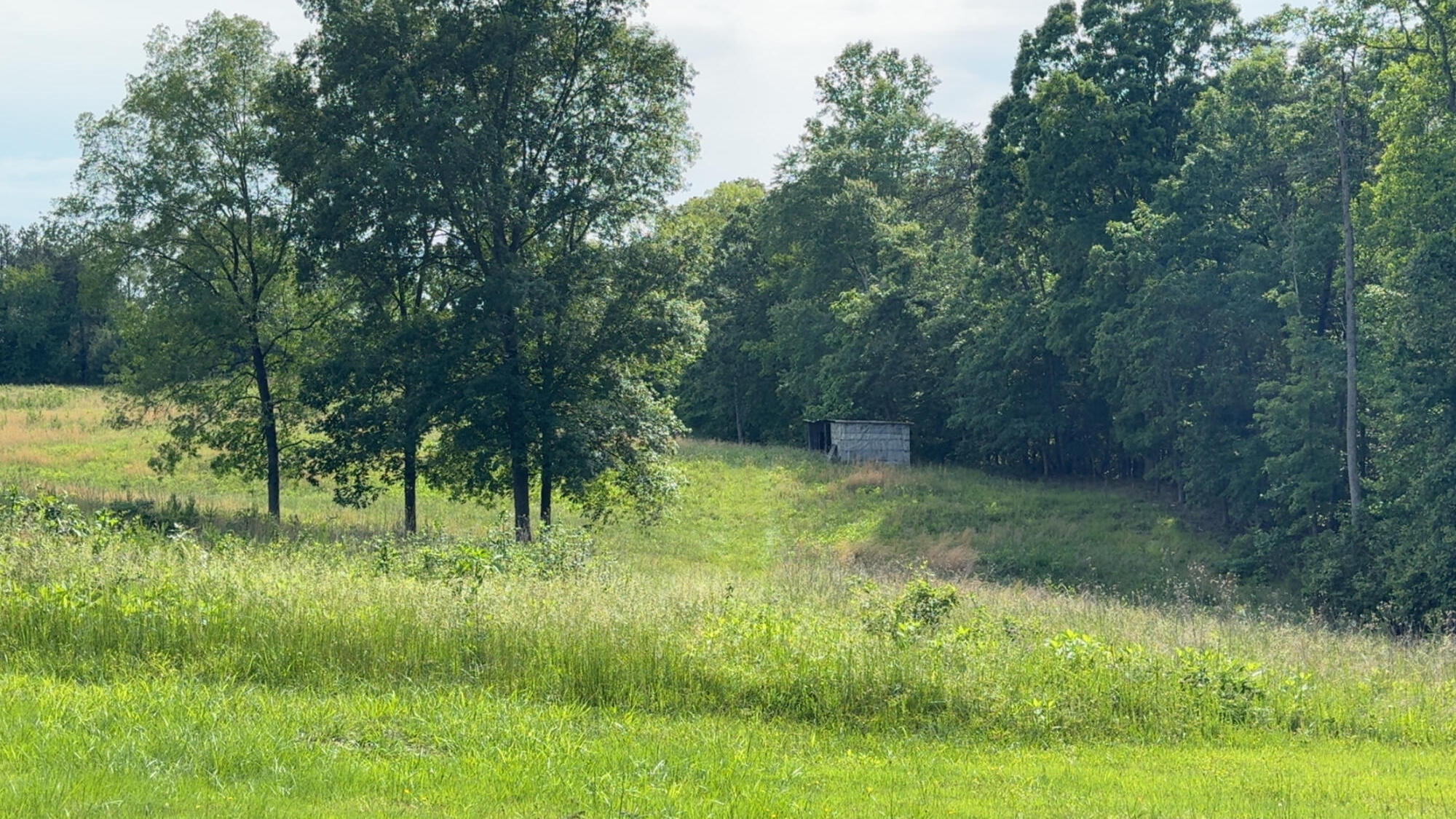 1207 Flint Hill Rd, Moneta, Virginia image 4