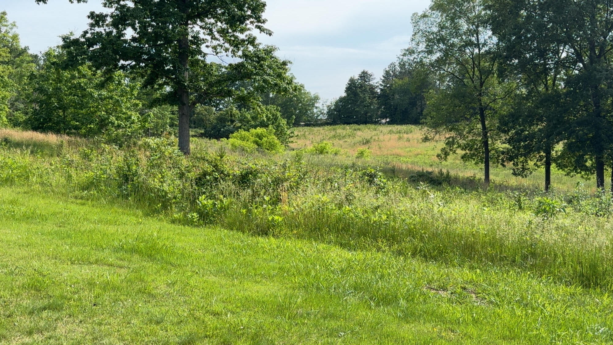 1207 Flint Hill Rd, Moneta, Virginia image 5