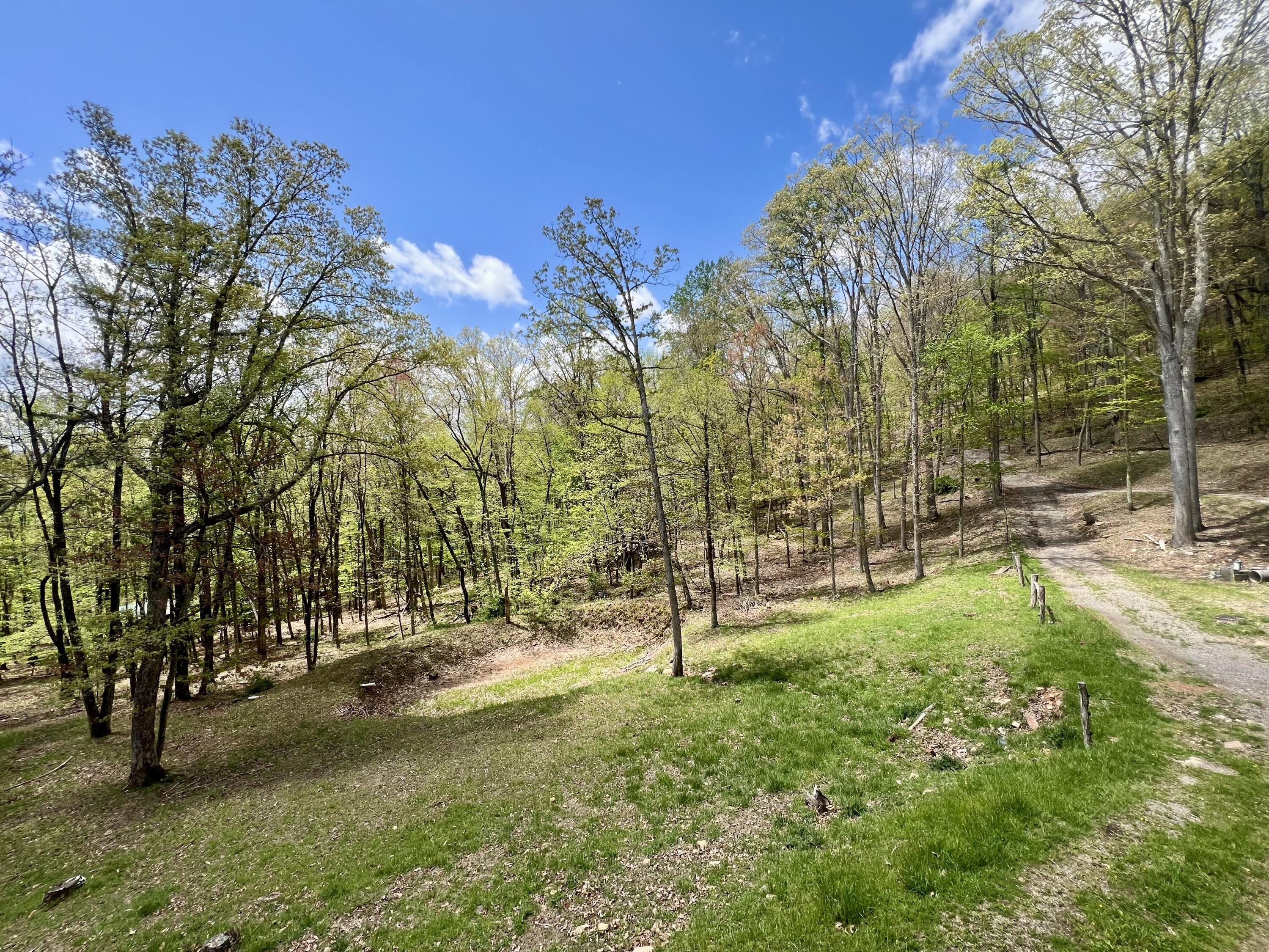 3002 Old Waiteville Rd, New Castle, Virginia image 6