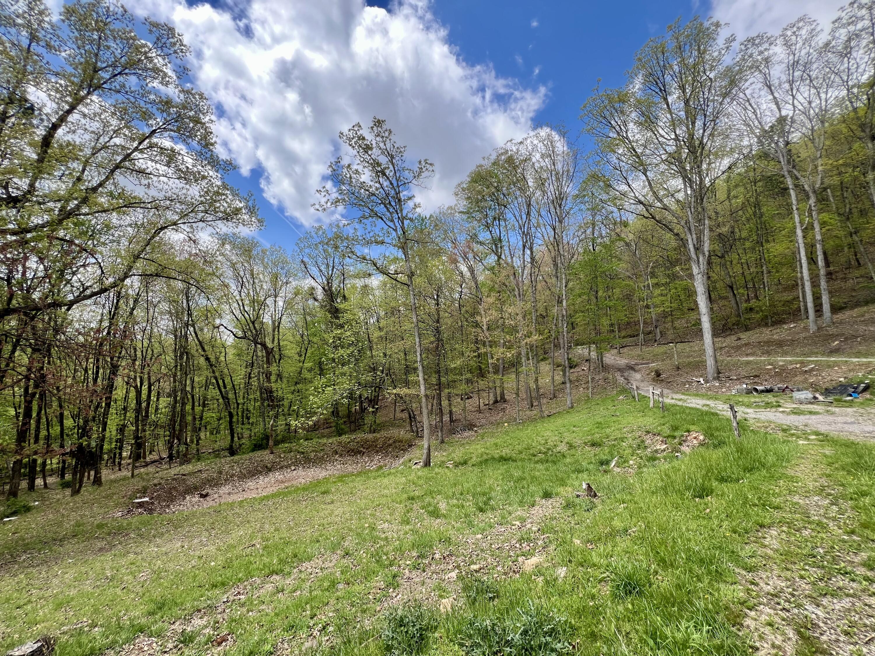 3002 Old Waiteville Rd, New Castle, Virginia image 38