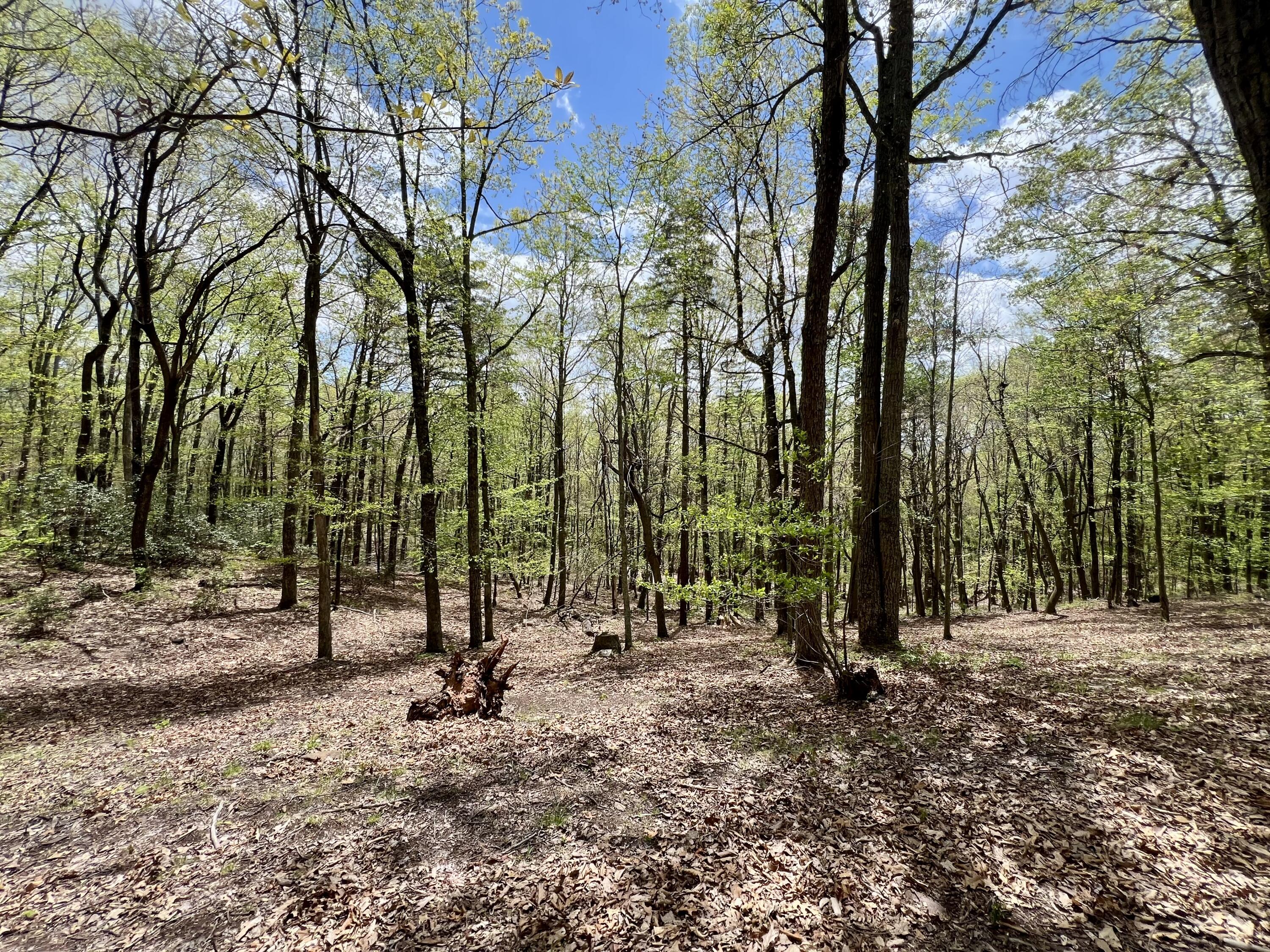 3002 Old Waiteville Rd, New Castle, Virginia image 42