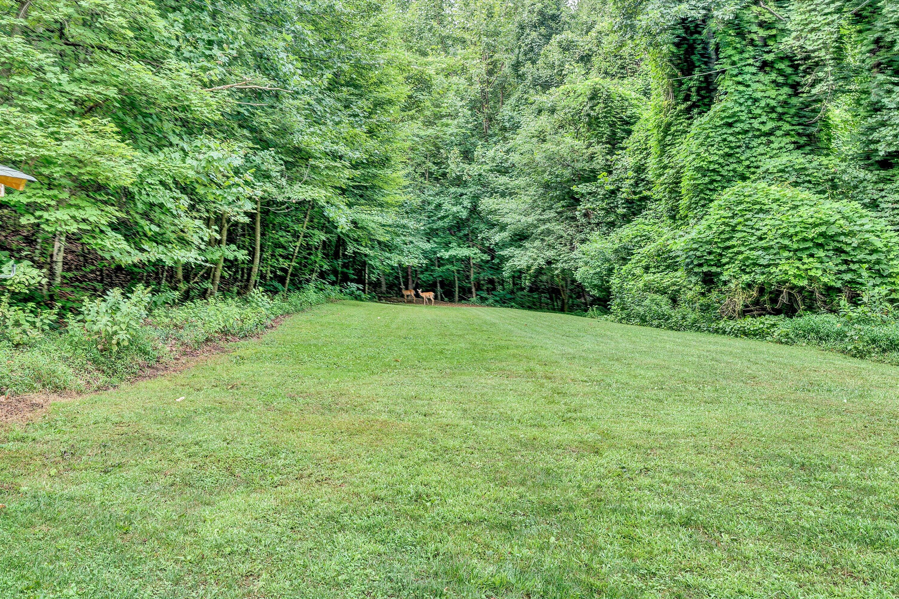 7776 Franklin Rd, Boones Mill, Virginia image 29