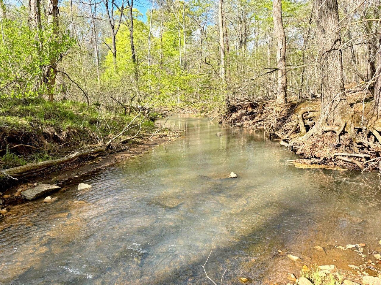 Stoney Mill Rd, Rocky Mount, Virginia image 20