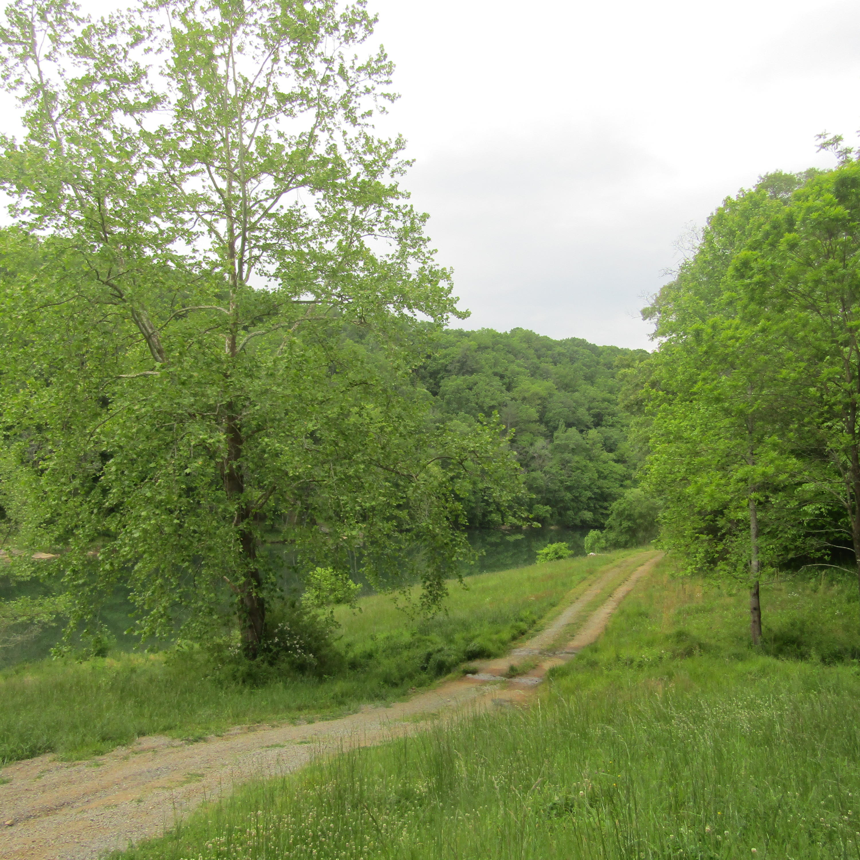 Lot 40 River Rock Rd, Vinton, Virginia image 13