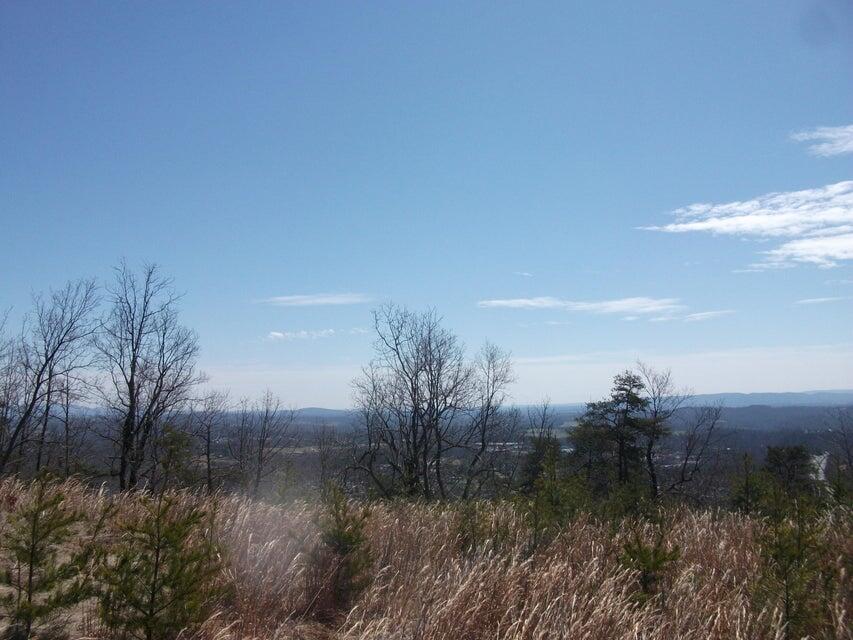 Lot 61 Penny Ln, Rocky Mount, Virginia image 20