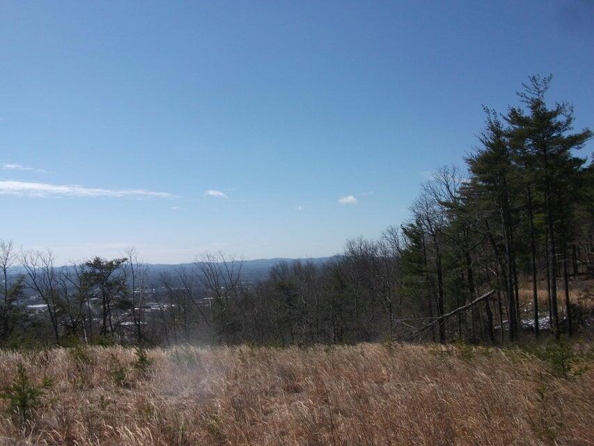 Lot 61 Penny Ln, Rocky Mount, Virginia image 18