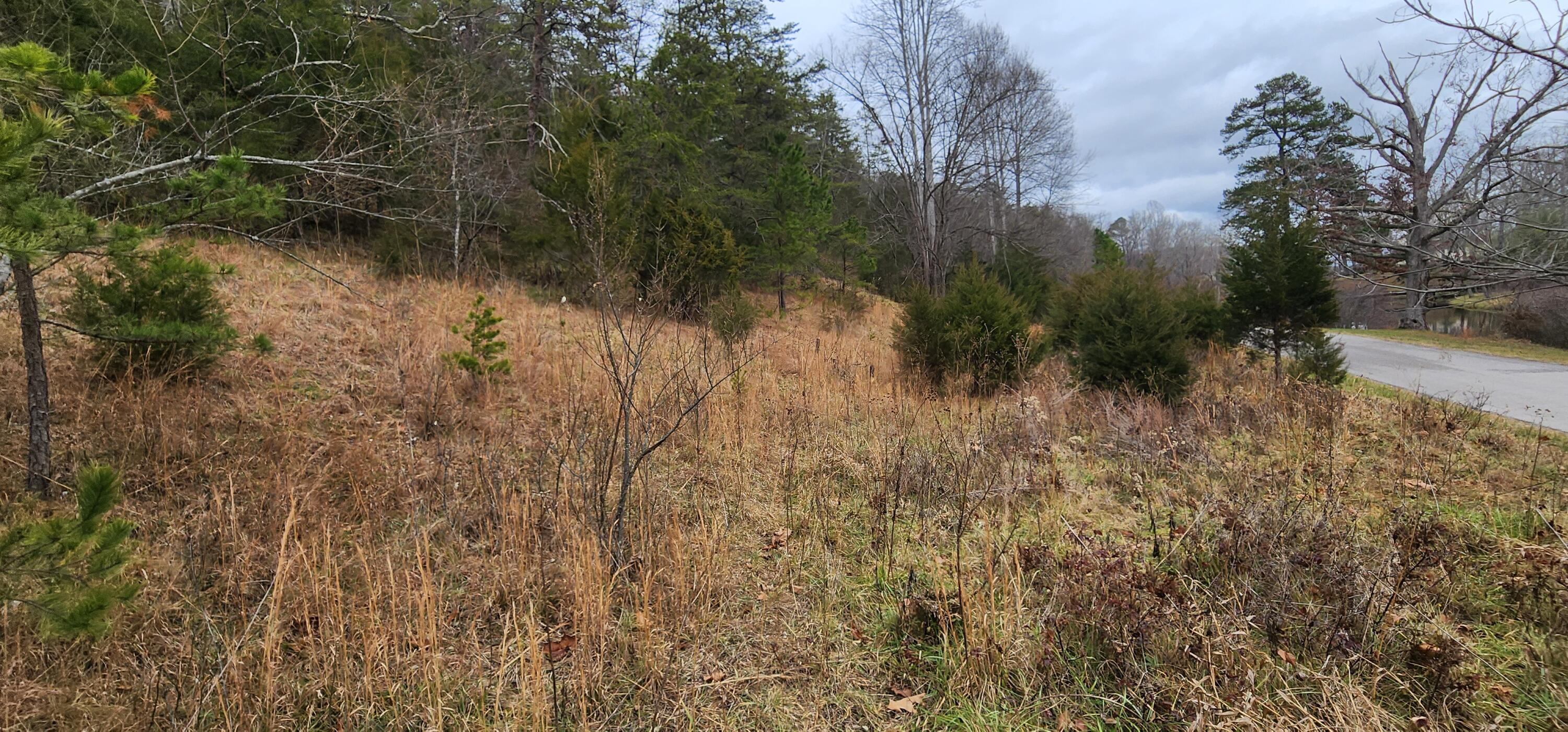 Lot 34 Johns Creek Rd, New Castle, Virginia image 1