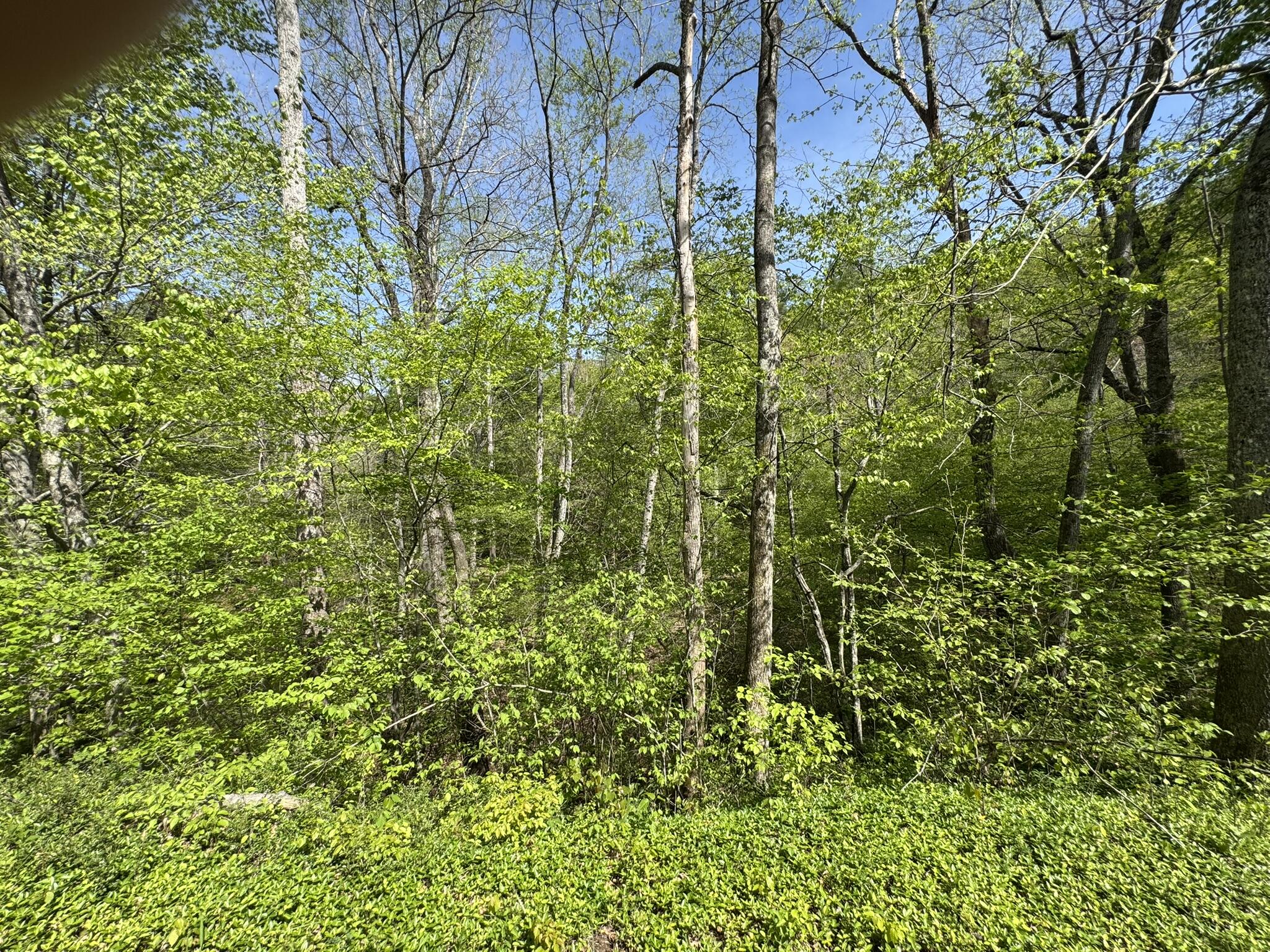 00 Dry Hill Rd, Ferrum, Virginia image 10