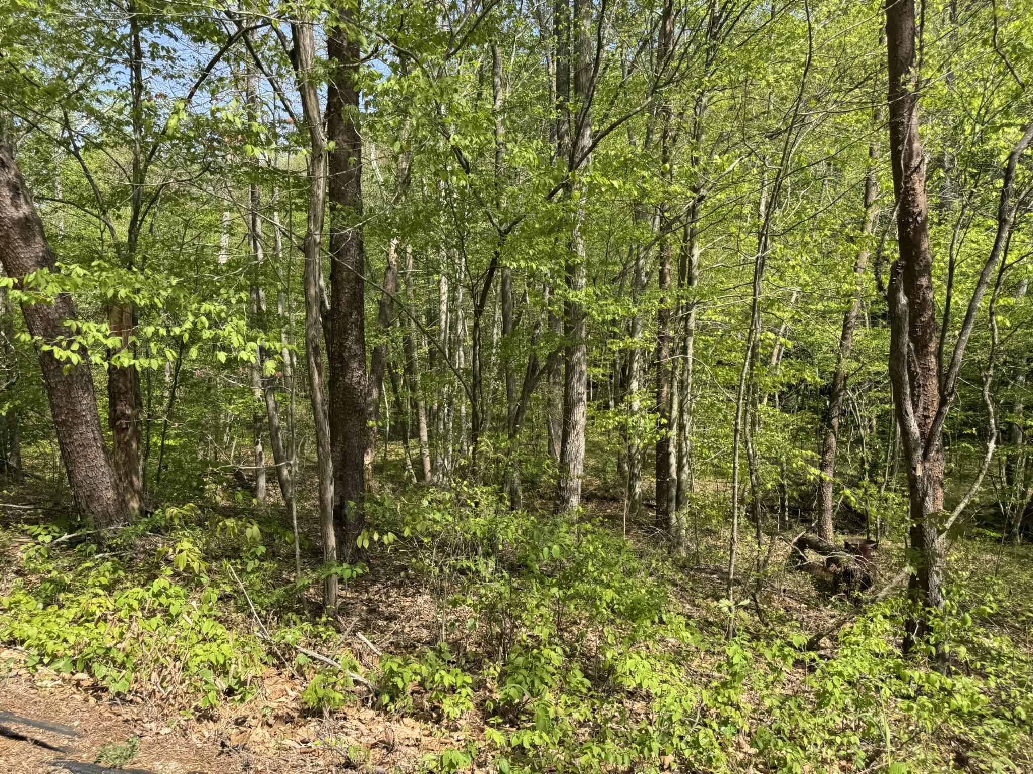 00 Dry Hill Rd, Ferrum, Virginia image 8