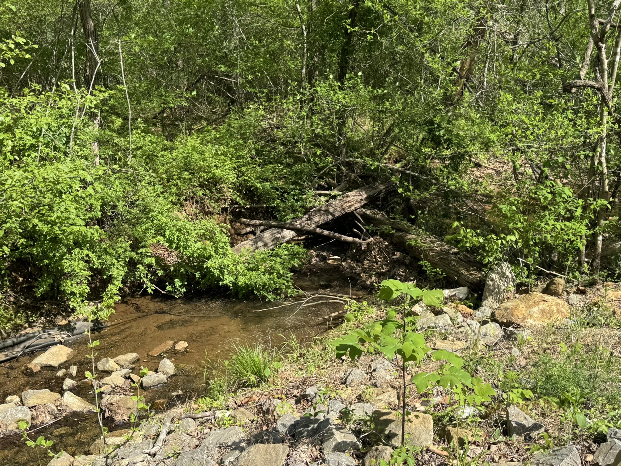 00 Dry Hill Rd, Ferrum, Virginia image 1