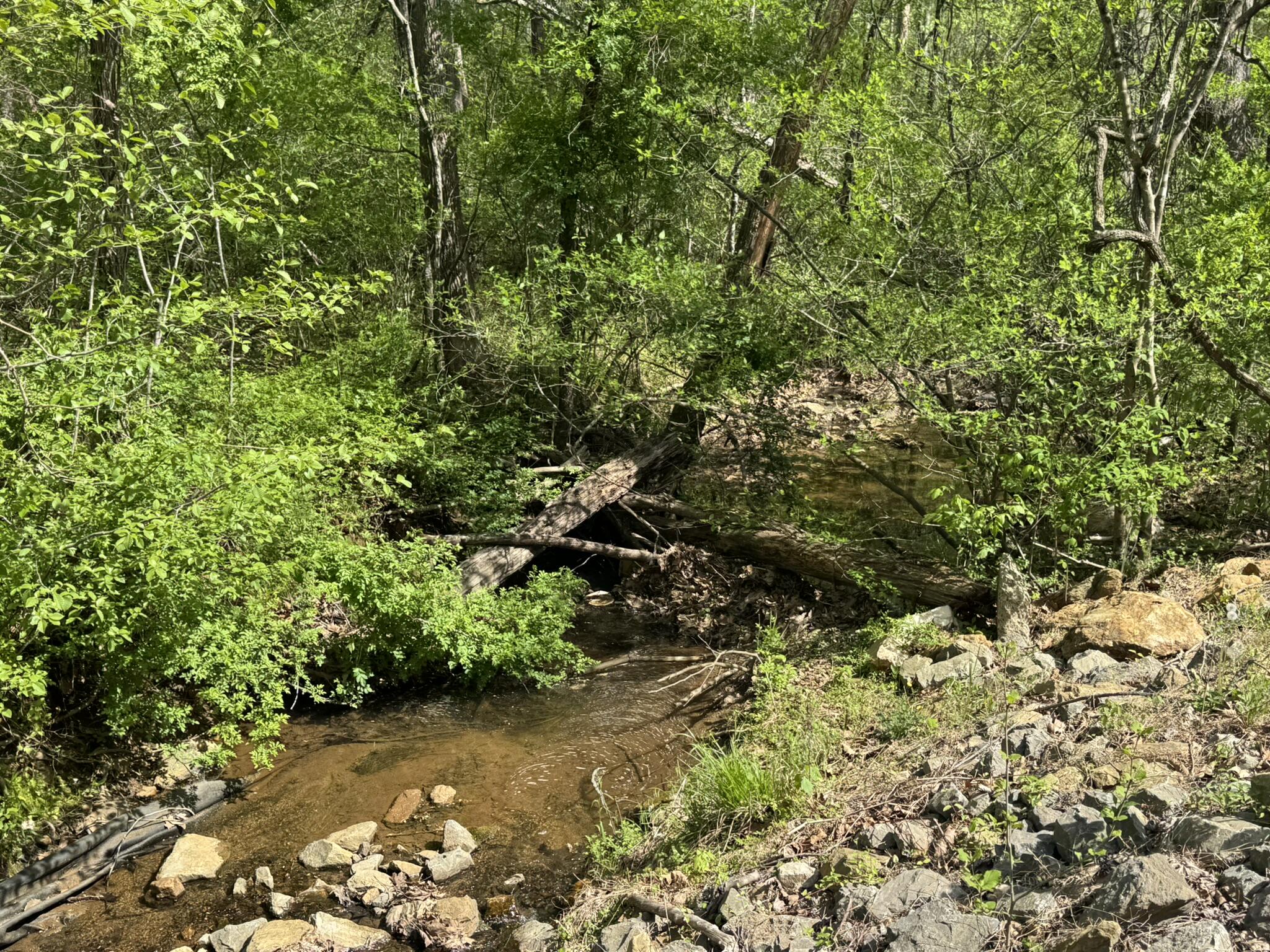 00 Dry Hill Rd, Ferrum, Virginia image 9