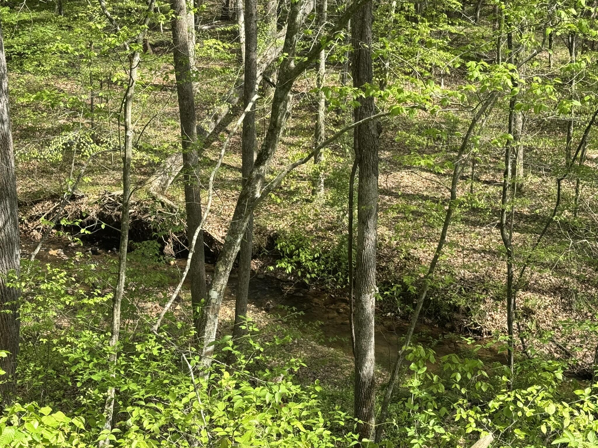 00 Dry Hill Rd, Ferrum, Virginia image 2