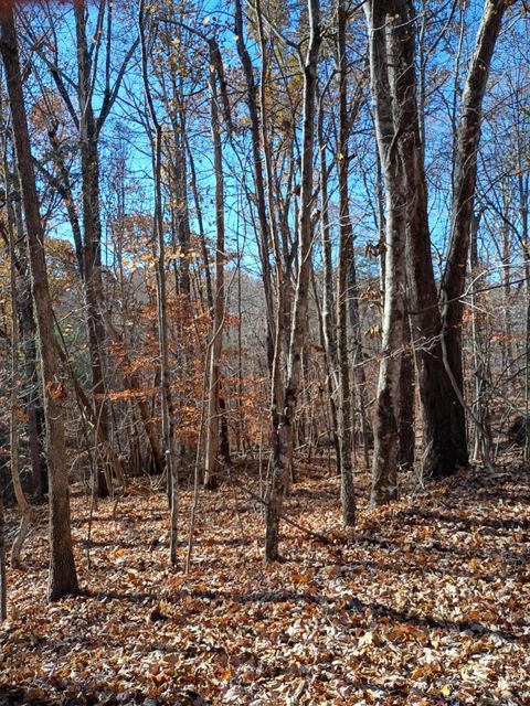 Vacant Land For Sale - 55 Old Barn Rd<br/> Franklin County, Moneta, VA 24121