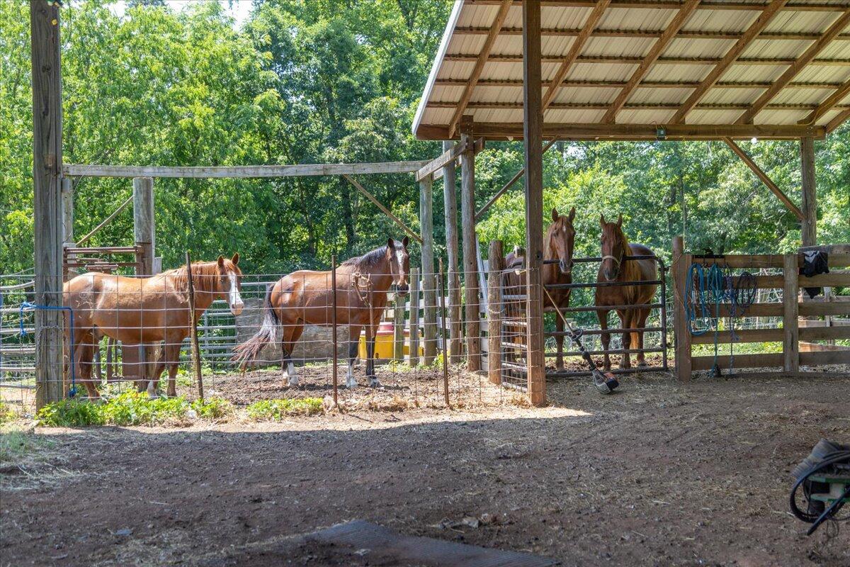 560 Tomahawk Mill Rd, Chatham, Virginia image 41