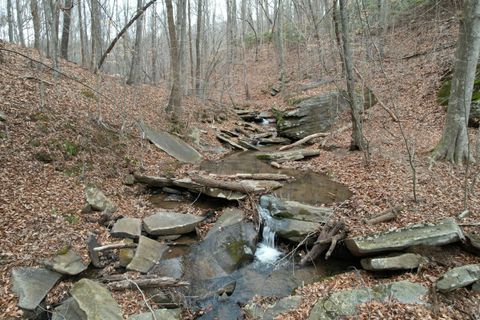 Vacant Land For Sale - Carson Dr<br/> Ferrum, VA 24088