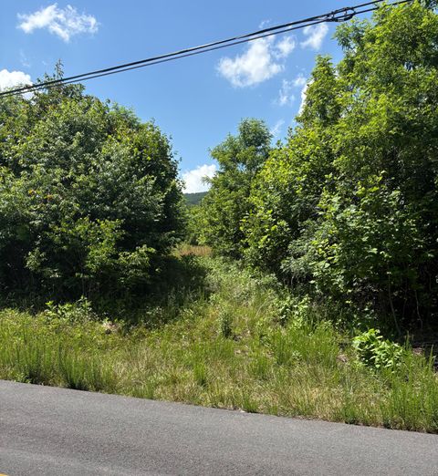 Vacant Land For Sale - Craig Creek Rd<br/> Eagle Rock, VA 24085