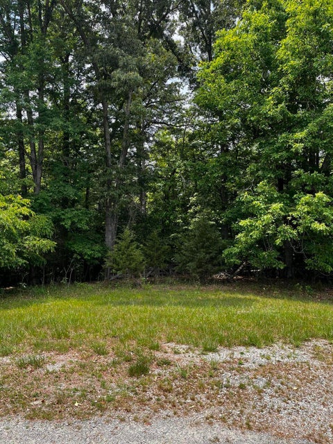 Vacant Land For Sale - LOT 17 Riverfront Dr<br/> Glade Hill, VA 24092