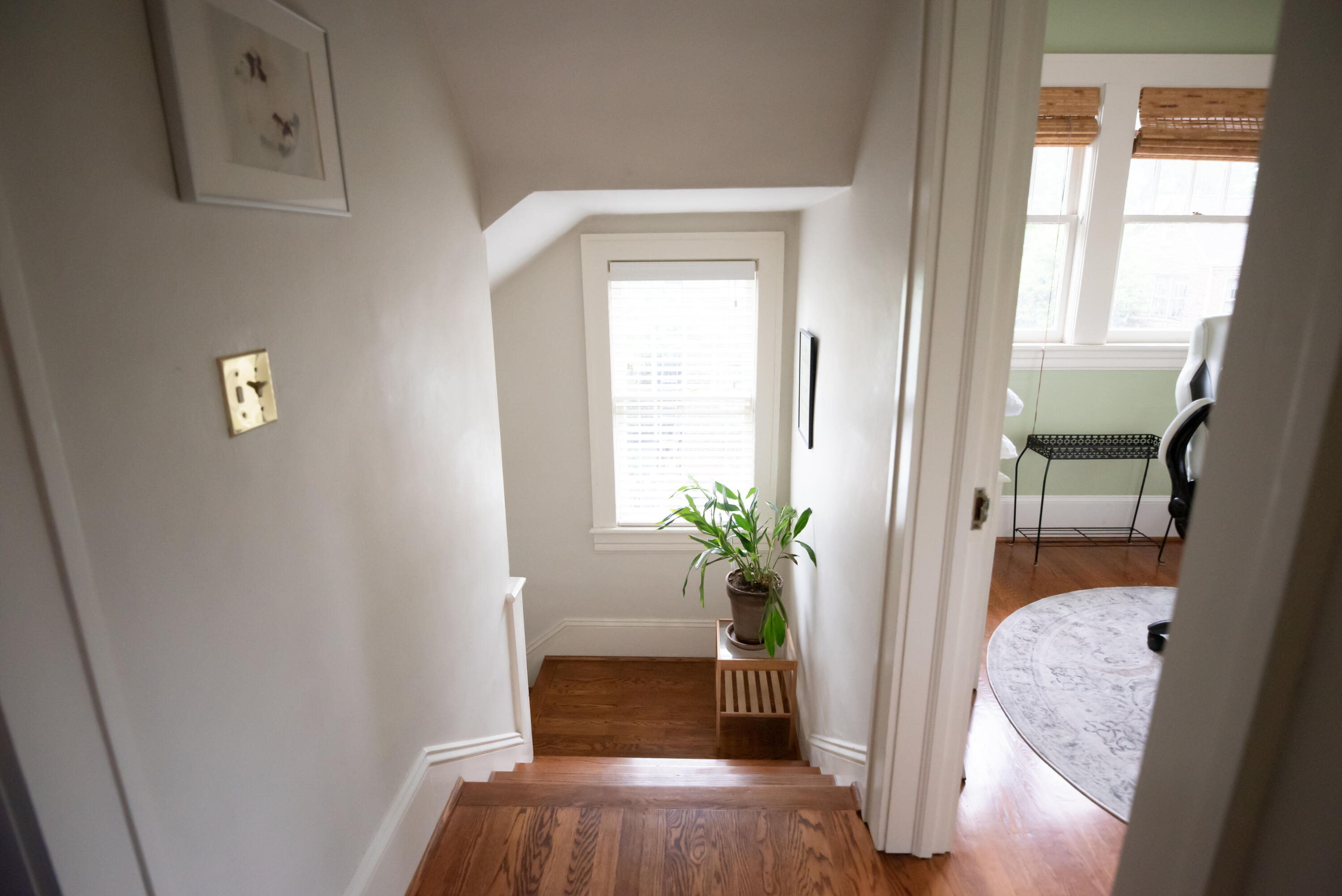 1810 Windsor Ave, Roanoke, Virginia image 20