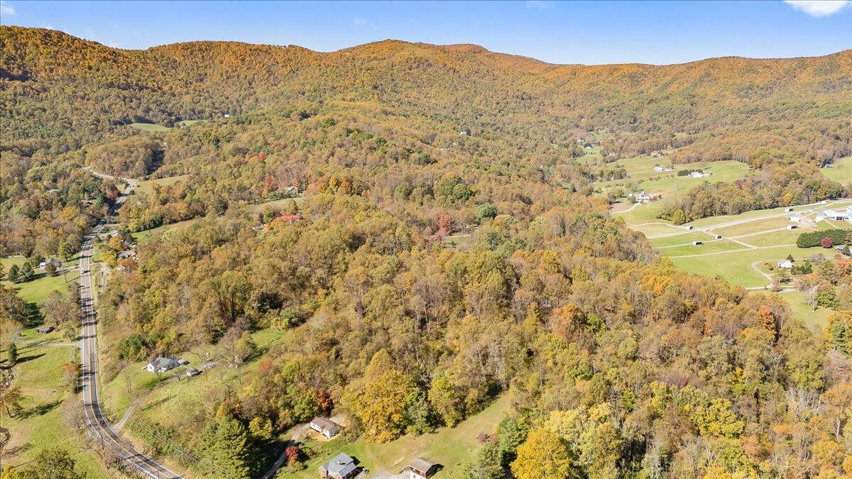 7969 Bent Mountain Rd, Roanoke, Virginia image 39