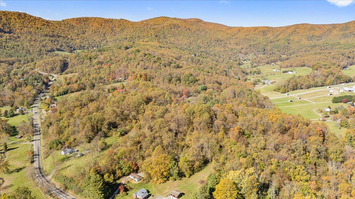 7969 Bent Mountain Rd, Roanoke, Virginia image 37