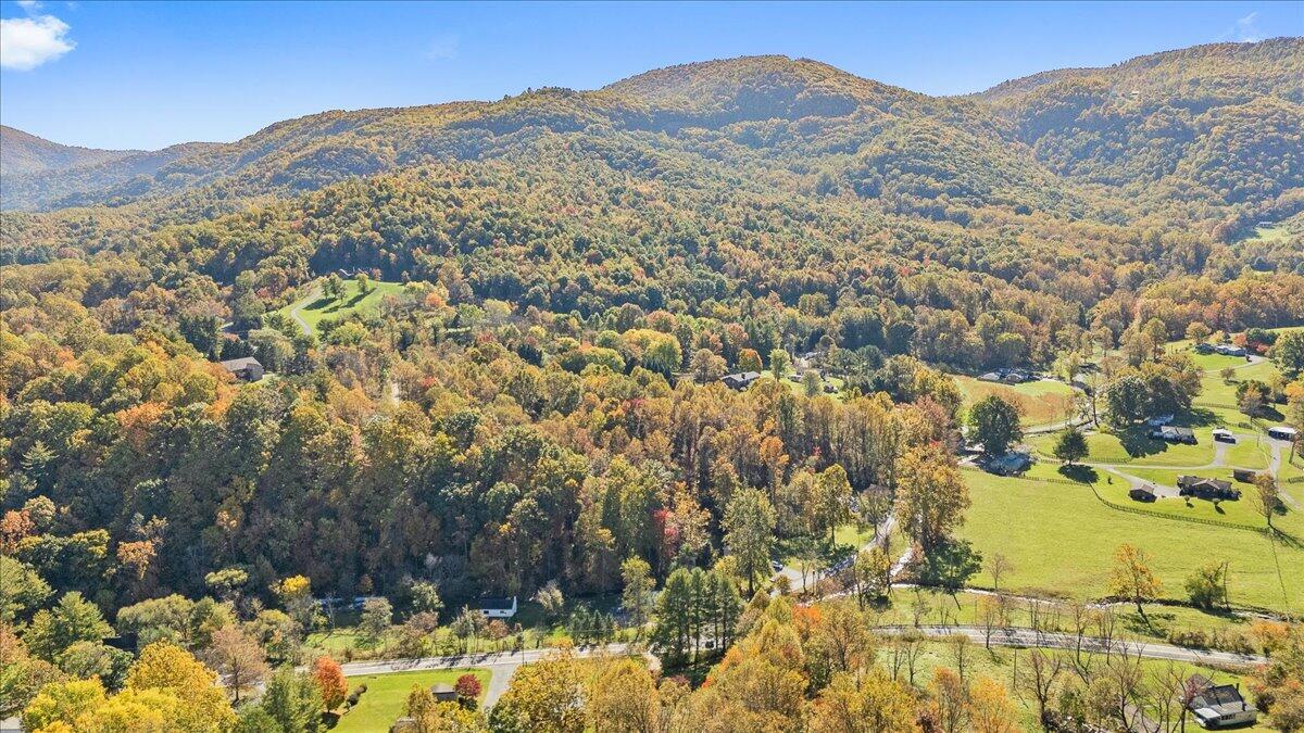 7969 Bent Mountain Rd, Roanoke, Virginia image 34