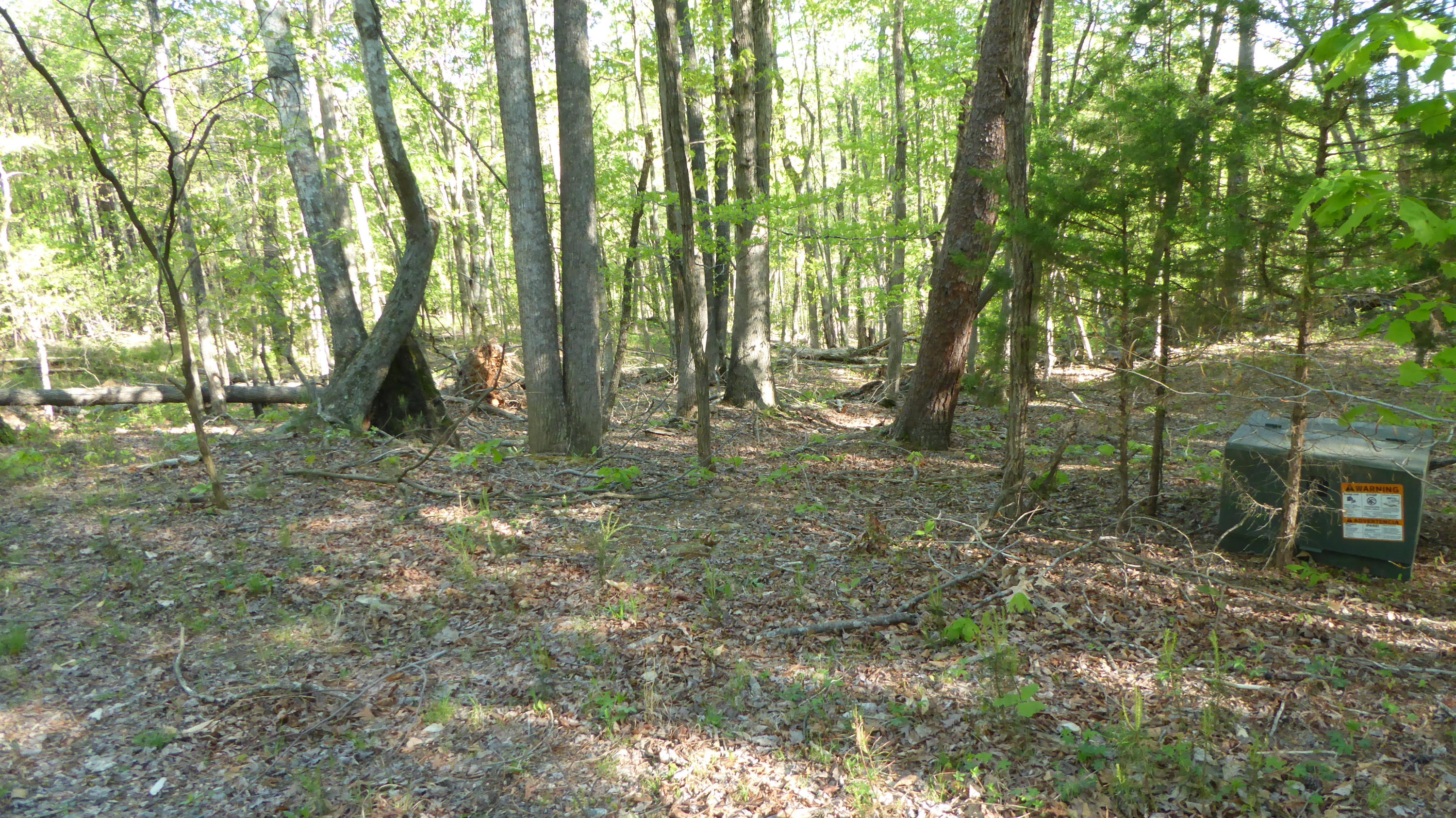 TRACT 1 Dusty Ln, Martinsville, Virginia image 4