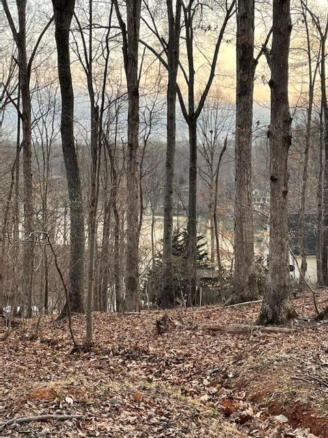 Vacant Land For Sale - LOT 4 Charmwood Cir<br/> Moneta, VA 24121