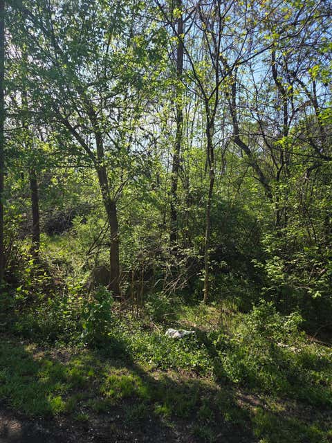 Vacant Land For Sale - Archbold Ave<br/> Roanoke, VA 24012